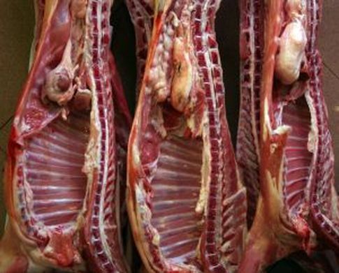 Ceny mięsa wołowego, wieprzowego i drobiowego (28.08.2016)