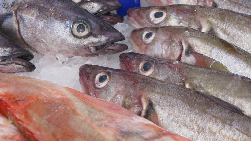 Wzrost cen ryb, owoców morza i przetworów