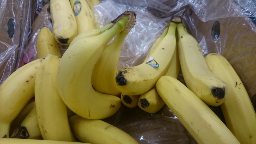 Wzrost eksportu bananów z Ekwadoru