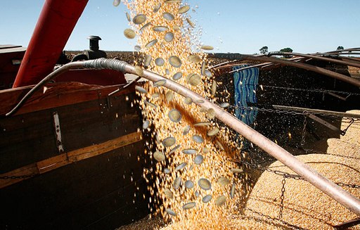 W ciągu 4 lat notowania zbóż spadły w USA spadły ok. 60%, a w UE o 40%
