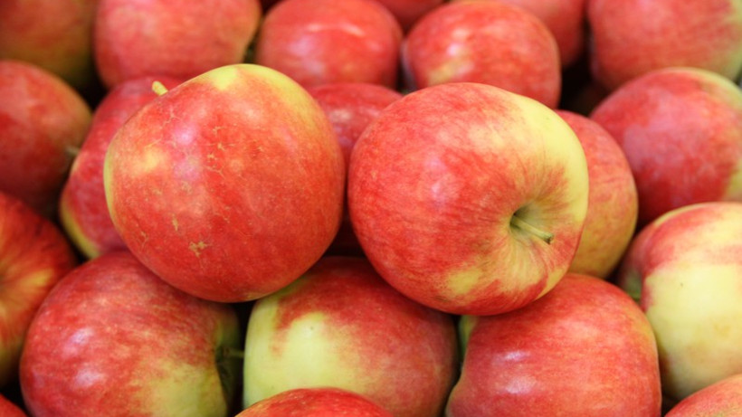 Komunikat dla eksporterów polskich jabłek do Indii