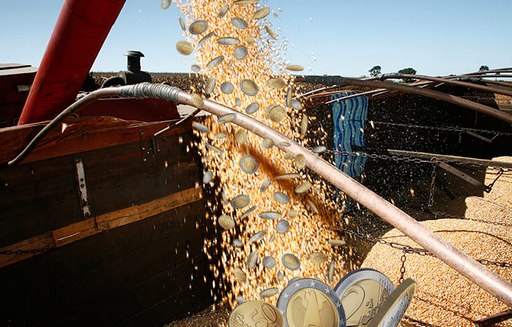 W połowie stycznia sytuacja na giełdowym rynku zbóż jest stabilna