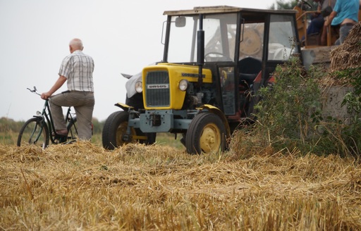 Ceny zbóż w Polsce na giełdach towarowych (01-07.09.2014)