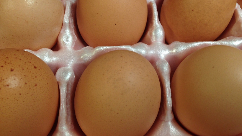 Ceny w UE oraz polski eksport jaj konsumpcyjnych