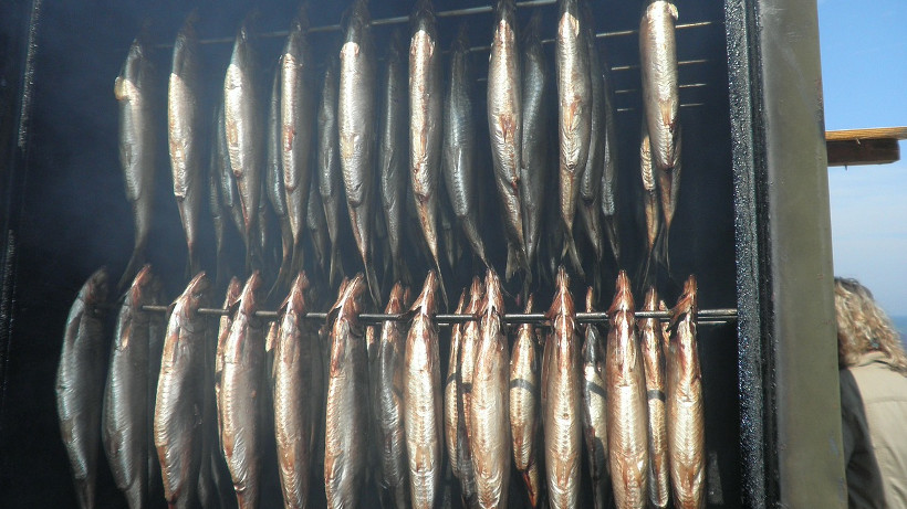 Mniejsze połowy ryb na Bałtyku
