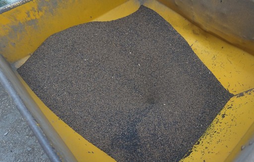 Cena rzepaku poszybowała w górę. Nawet 1750 zł/t