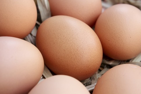 Wzrost eksportu jaj i ich przetworów