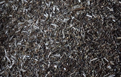 Rzepak dalej drożeje (11.09.2016)