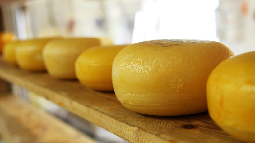 Zagraniczne ceny sera Cheddar