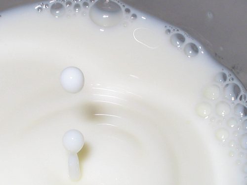 Ceny skupu mleka surowego według GUS w marcu 2023 r.
