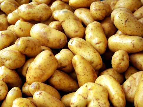 Wysokie ceny ziemniaków na zachodnioeuropejskich rynkach