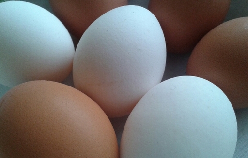 W lutym ceny jaj w Polsce wzrosły o 9,3% do 138,4 EUR/100 kg