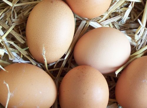 Ceny kurcząt całych i jaj konsumpcyjnych w UE i Polsce (23.05.2016)