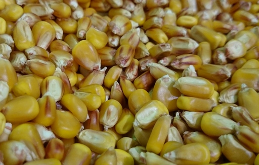 Ceny zbóż w kraju (29.11.2020)