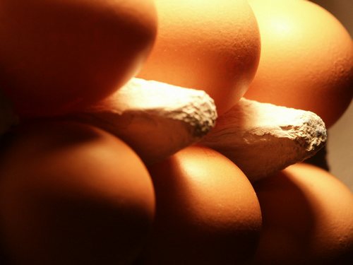 Ceny sprzedaży jaj spożywczych w Polsce (11.12.2016)