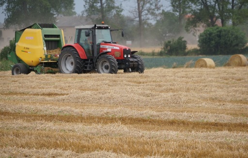 Na Matif zmiany notowań zbóż były niewielkie. Na CBoT soja i kukurydza biły kolejne rekordy słabości (29.09.2014)