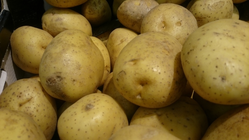 Mniejsza produkcja ziemniaków