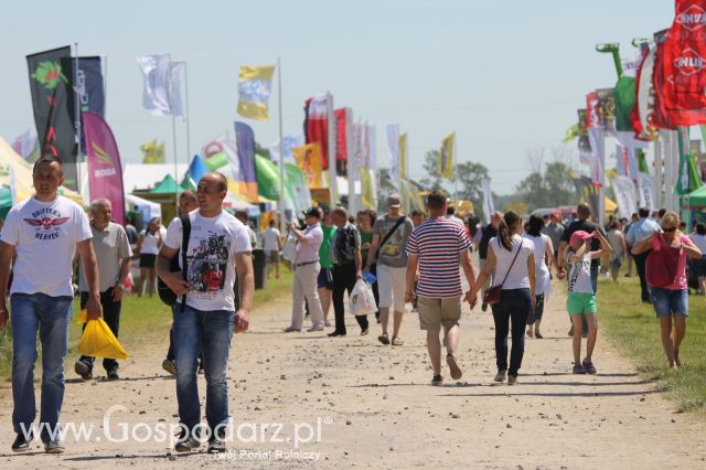 Zielone AGRO SHOW – POLSKIE ZBOŻA 2014 w Sielinku