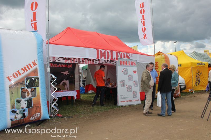 XVIII Regionalna Wystawa Zwierząt Hodowlanych i Dni z Doradztwem Rolniczym w Szepietowie - Sobota