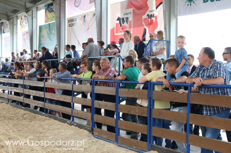 Regionalna Wystawa Zwierząt Hodowlanych i Dni z Doradztwem Rolniczym w Szepietowie 2017 (niedziela)