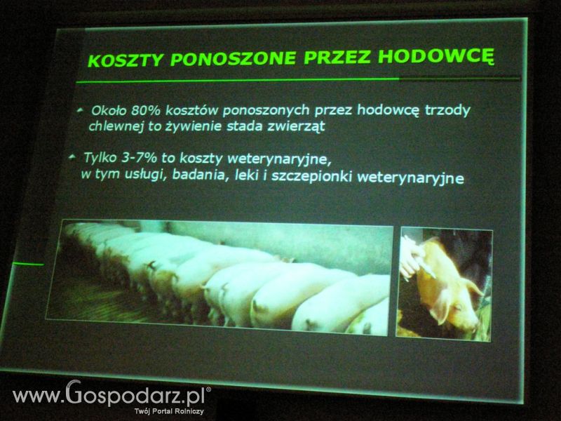 Konferencja przed II Festiwalem Wieprzowiny w Kwidzyniu