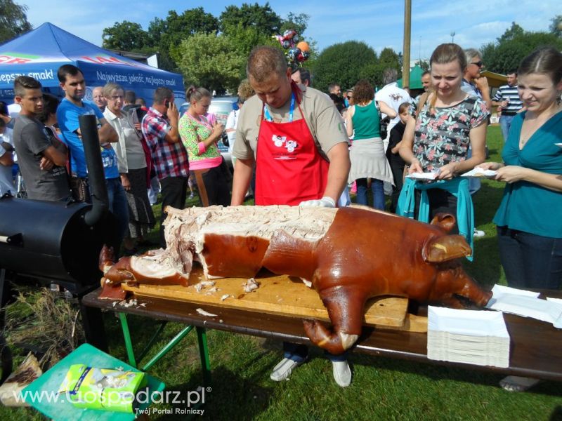II Festiwal Wieprzowiny w Kwidzyniu