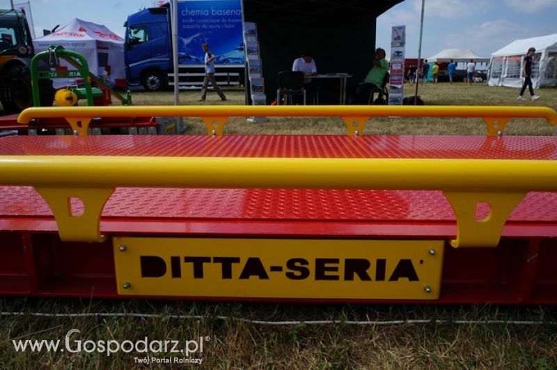 Ditta-Seria na OPOLAGRZE 2015
