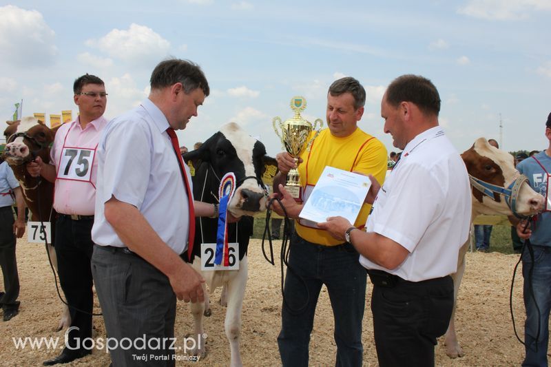 Superchampioni i championi Śląskiej Wystawy Bydła Mlecznego Opolagra 2011