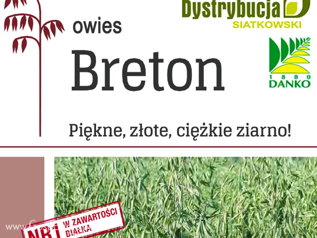 Kwalifikowane nasiona siewne owies Breton C/1