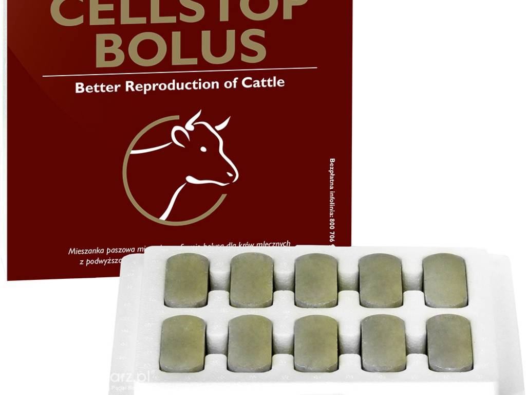 Preparat dla krów z podwyższoną zawartością komórek somatycznych w mleku - Cellstop bolus