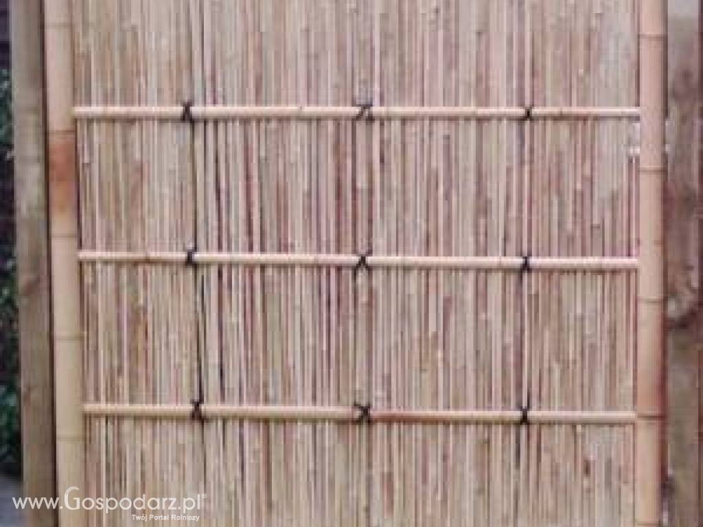 Kije bambusowe 3