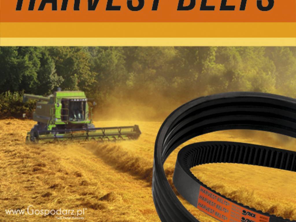 Pasy klinowe Harvest Belts®
