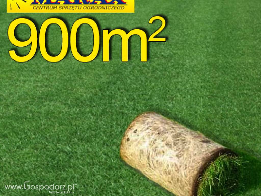 Trawa z rolki, trawa rolowana Premium II 900 m2najlepsza trawa w rolce, darń w rolce