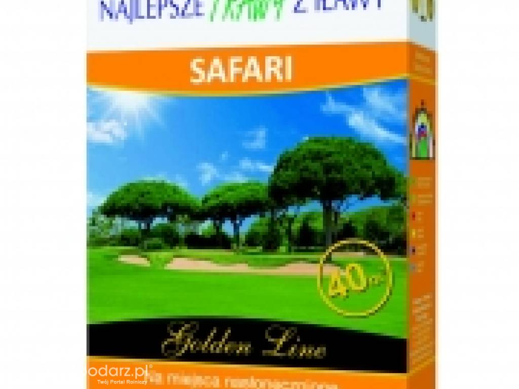 Trawa, nasiona trawy SAFARI GOLDEN LINE masa: 1kg, mieszanka trawy na miejsca nasłonecznione, Golden Line Rolimpex