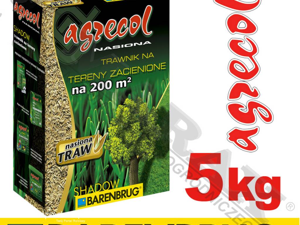 Trawa, nasiona trawy BARENBRUG / AGRECOL SHADOW masa: 5 kg, na 200m2,  mieszanka traw na miejsca zacienione