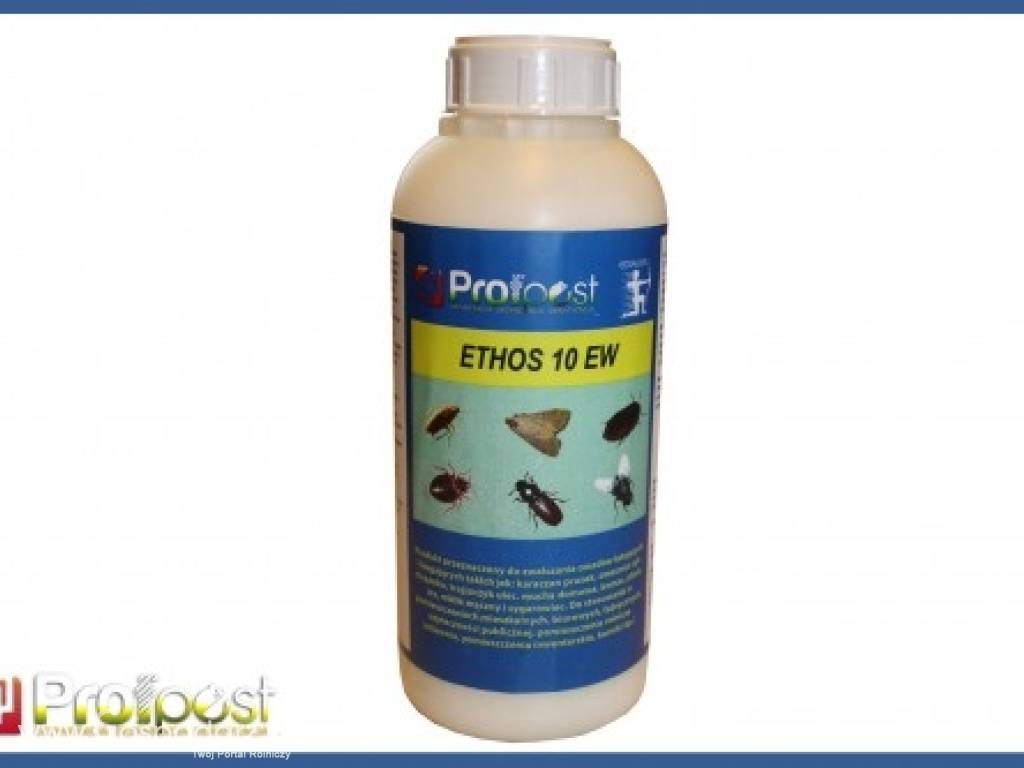 Ethos10 EW