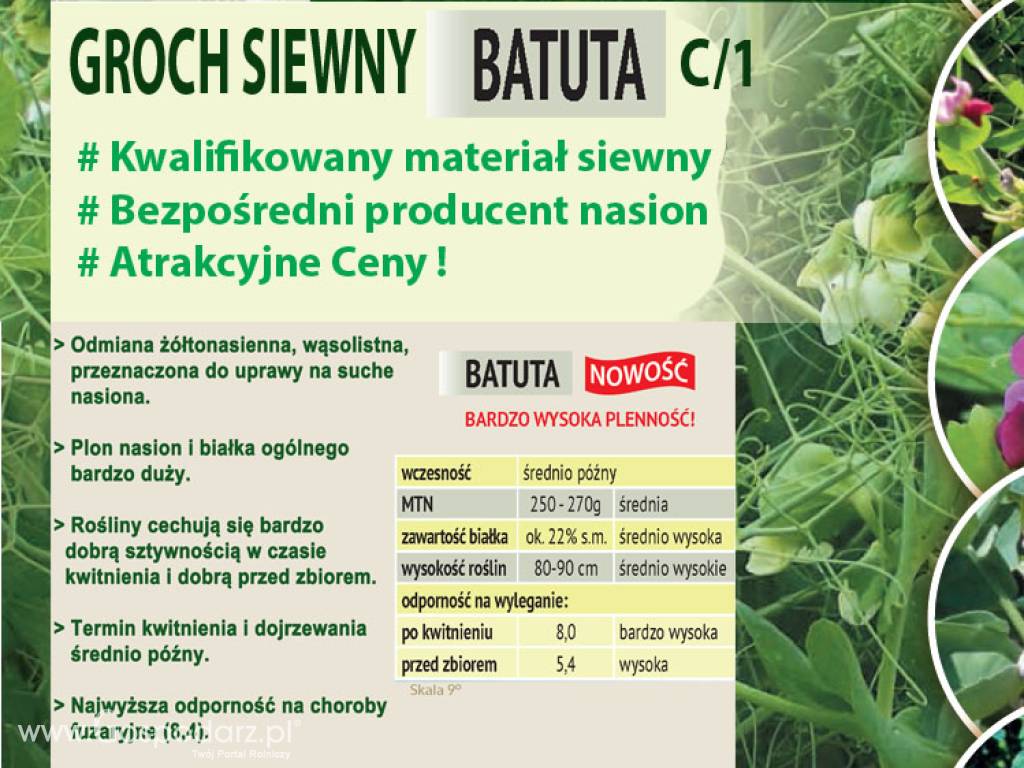 Kwalifikowane nasiona siewne Grochu Siewnego Batuta C/1 5
