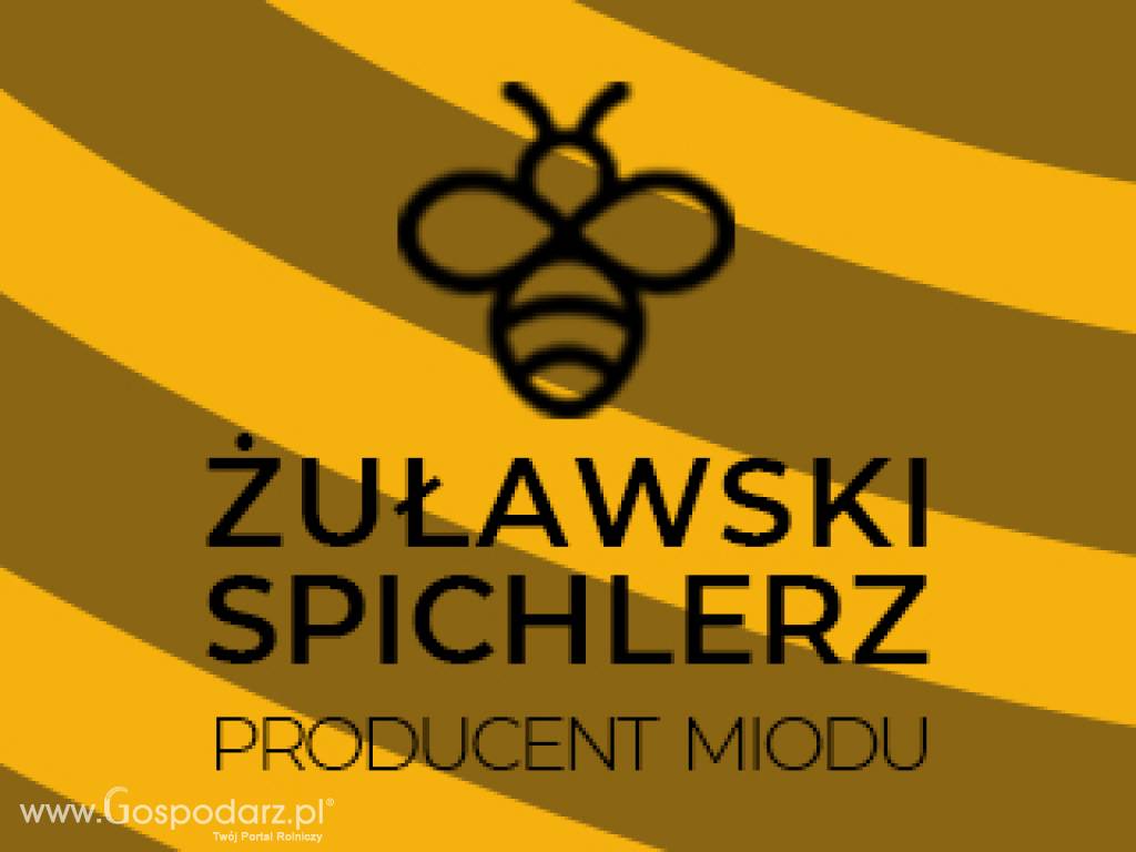 Miód wielokwiatowy - CZERWIEC 2021 - prosto od pszczół 7