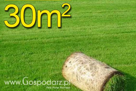 Trawa z rolki PREMIUM 30m2najlepsza trawa w rolce, darń w rolce, 1 paleta, DARMOWA WYSYŁKA