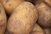 Zarejestrowano sześć nowych odmian ziemniaków