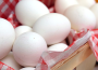 Ceny jaj w Polsce (11.01.2026)