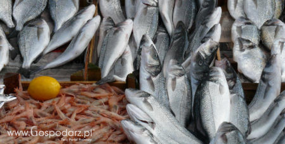 Ceny ryb importowanych do Polski