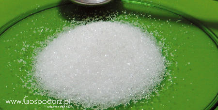 Cukier surowy najdroższy od półtora roku