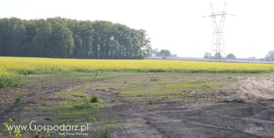 Komunikat Wielkopolskiej Izby Rolniczej w sprawie przetargów na sprzedaż nieruchomości rolnych Skarbu Państwa