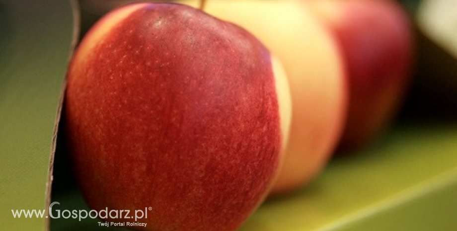 Ceny jabłek i gruszek w Polsce (09-17.03.2015)