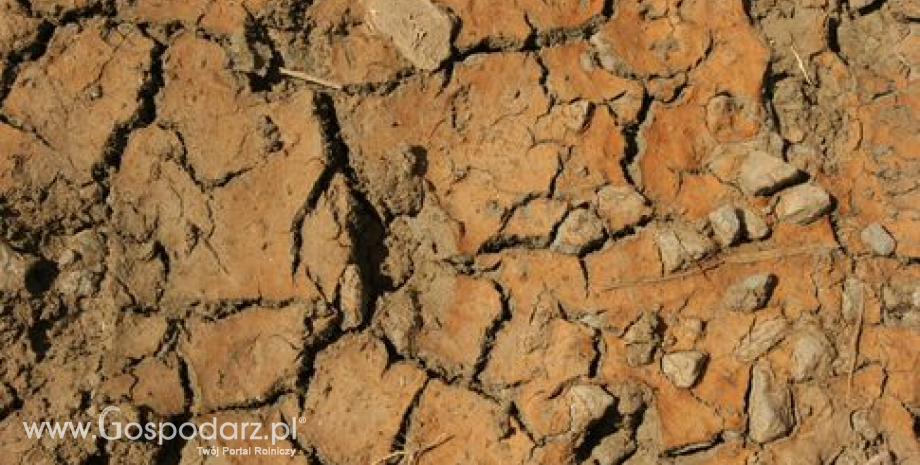Komunikat odnośnie wystąpienia warunków suszy w Polsce