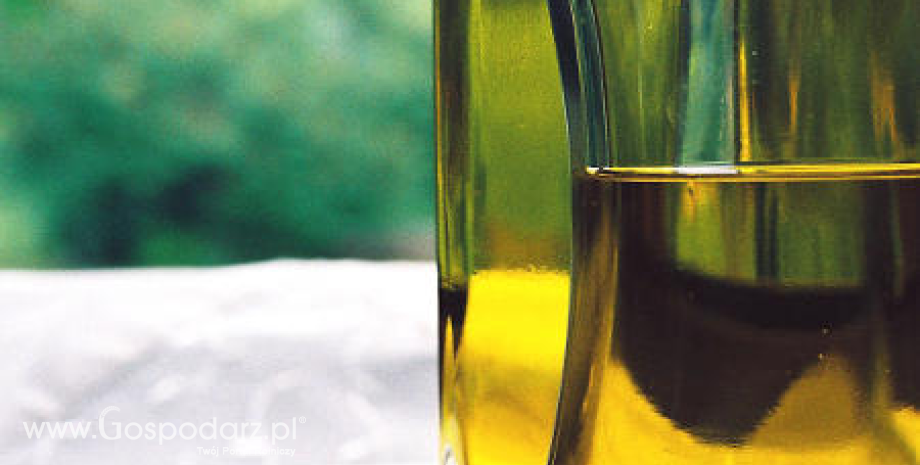 Zielone światło dla poprawy jakości oliwy z oliwek