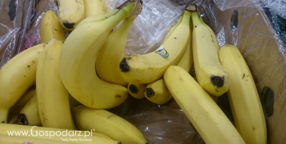 Ukraina podwoiła import bananów