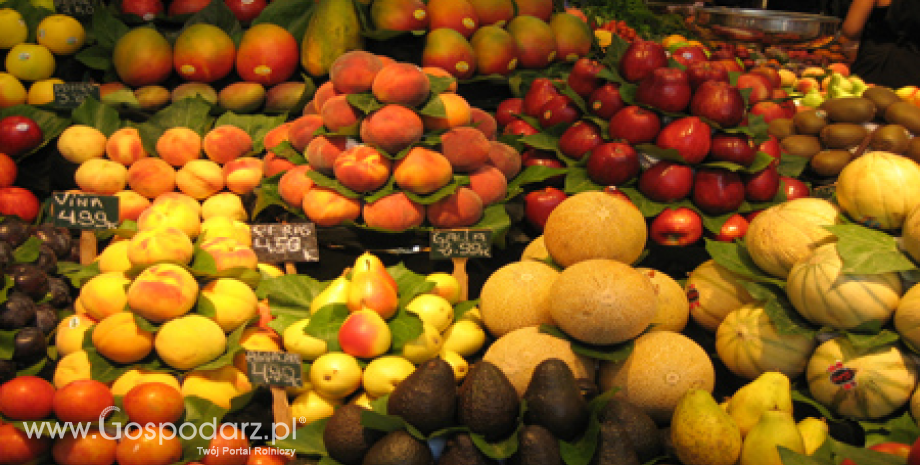 Rosyjski import owoców i warzyw po wprowadzeniu embarga
