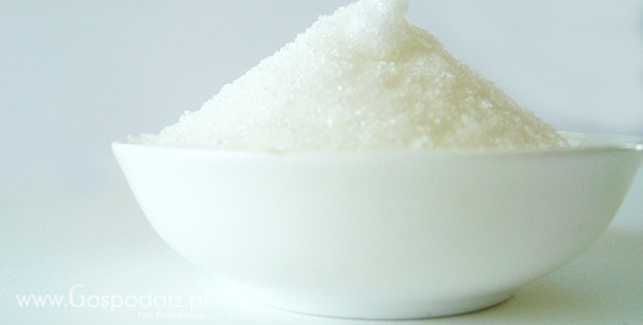 Handel cukrem. Spadł polski eksport i import cukru